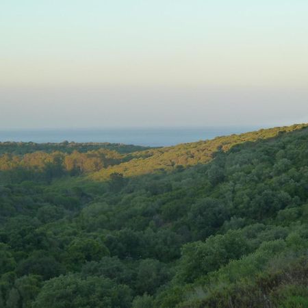 Alcaidesa Golf And Nature Apartment San Roque  Bagian luar foto