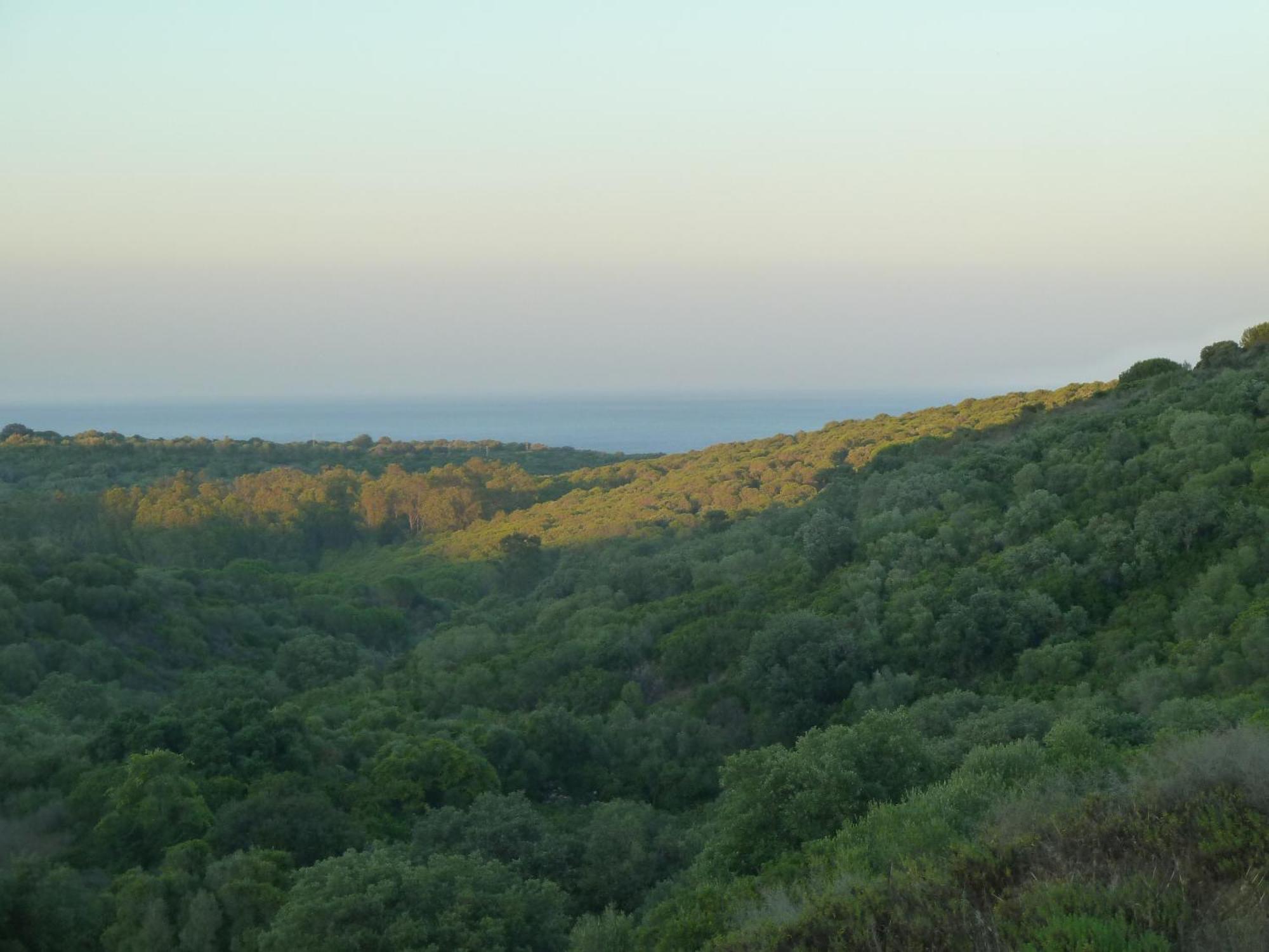 Alcaidesa Golf And Nature Apartment San Roque  Bagian luar foto